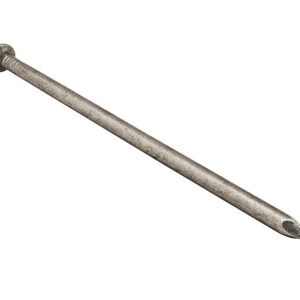 10" Common spikes