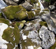 Bubbling Rock
