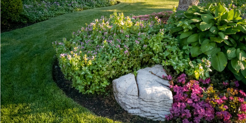 Garden Bed 