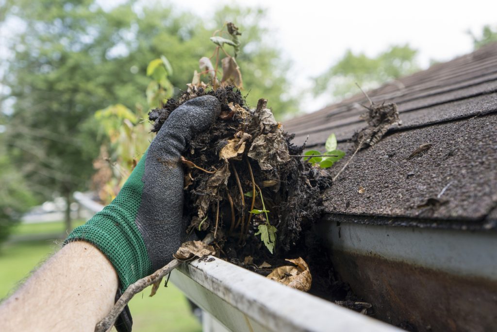 Clear your gutters