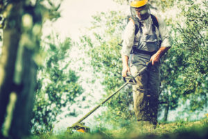 Landscaping 