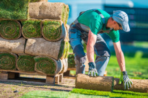 Landscaper