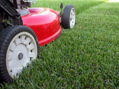 green-grass