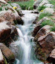 natural stone pond