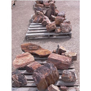Petrified Wood
