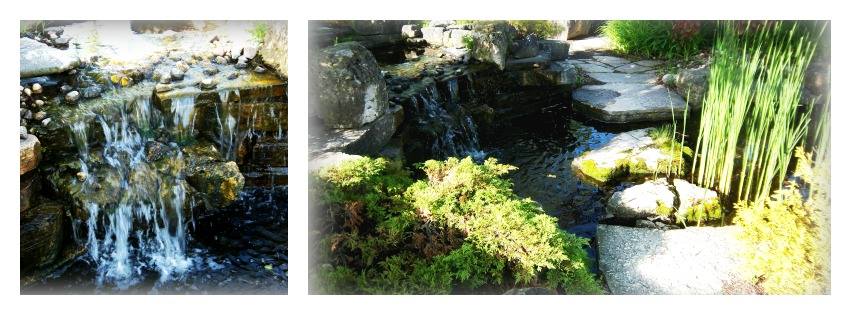 pond-img-for-houzz