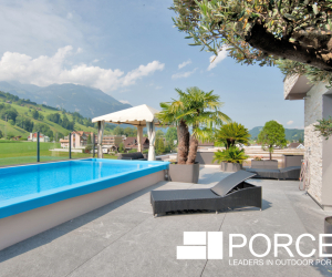 Porcea Gris