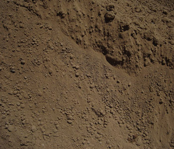 Screened Topsoil