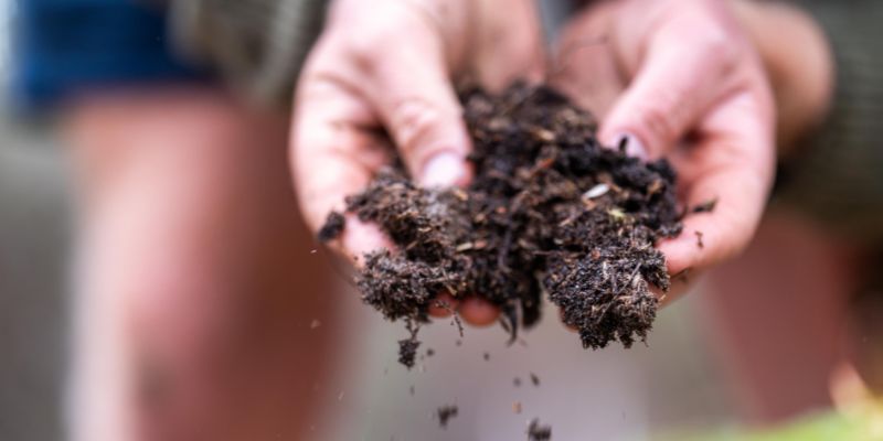 Soil Sample