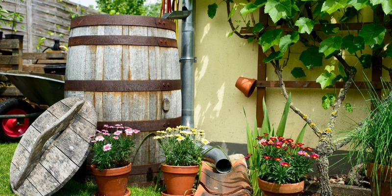wooden water barrel