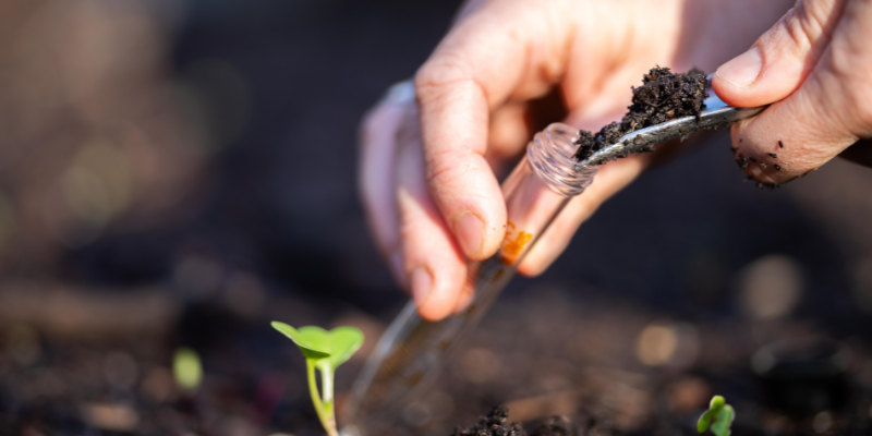 Test the Soil
