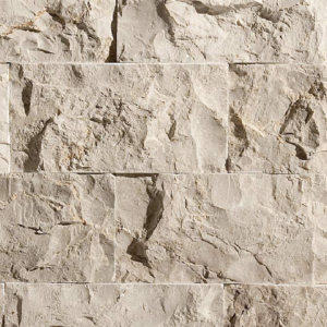 Splitface Fossil
