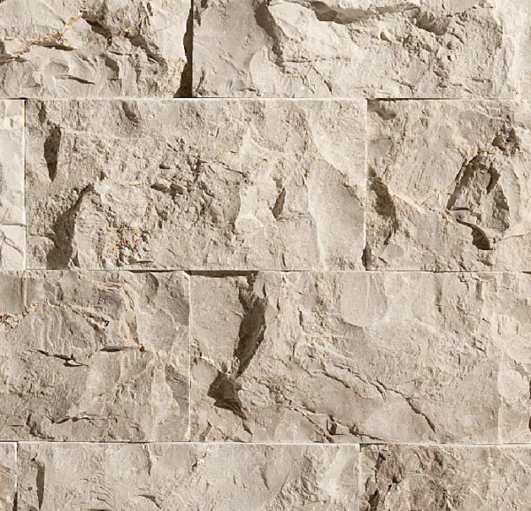 Splitface Fossil