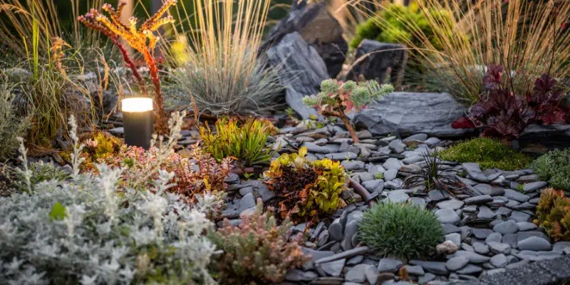 All About Landscaping Rocks: Types, How to Choose Them & More