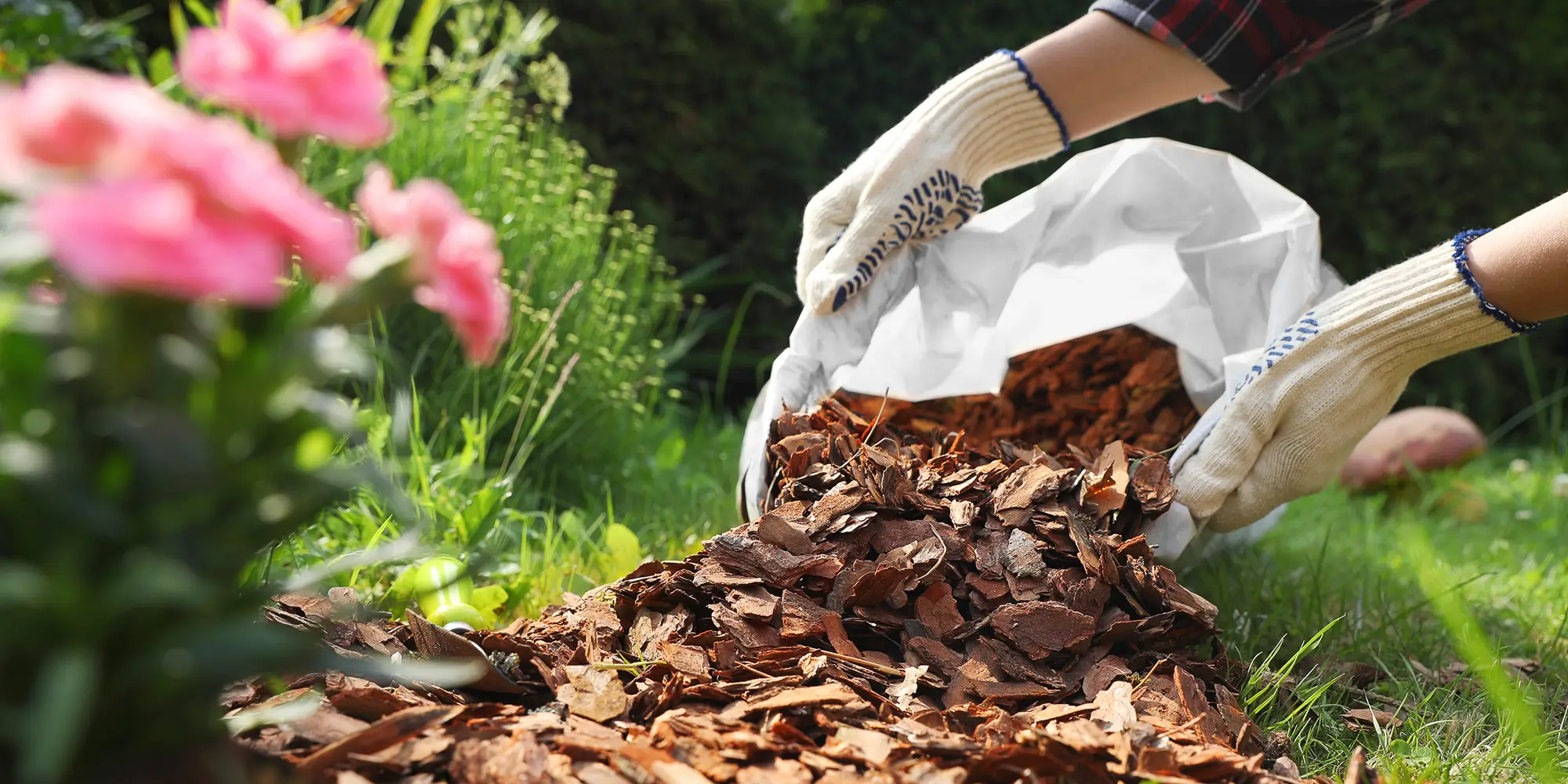 mulch out of bag